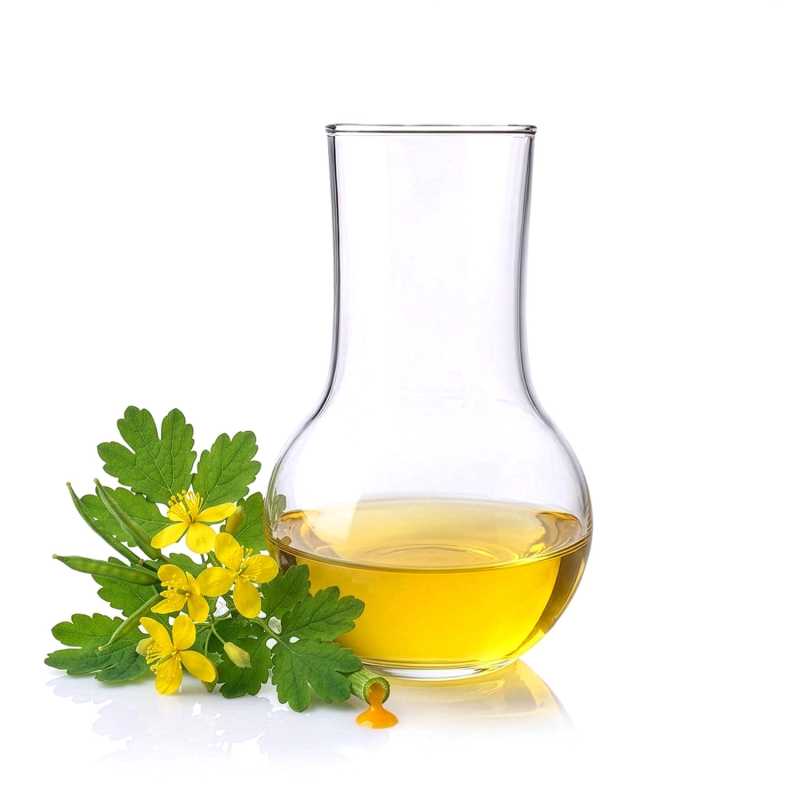 Lipo-extrait actif de chélidoine, 1 l