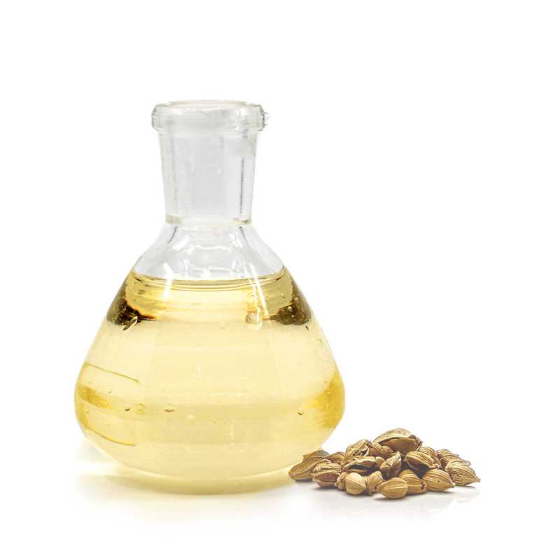 Huile d'Argan Désodorisée, Bio, 5 l