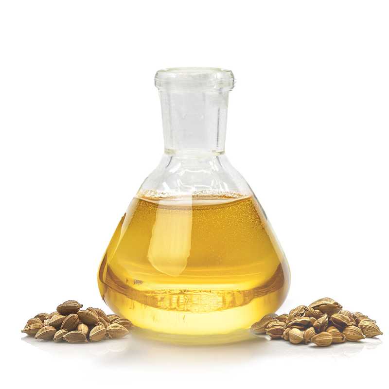 Huile d'argan biologique pressée à froid et légèrement torréfiée, 100 ml