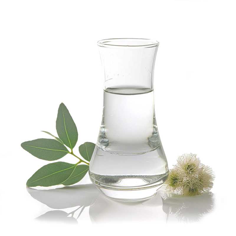 Huile essentielle d'Eucalyptus Smithii, 10 ml