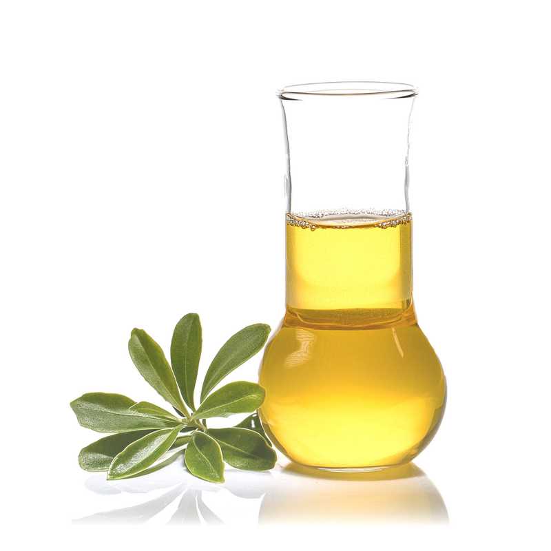 Huile essentielle de Ravensara, 500 ml