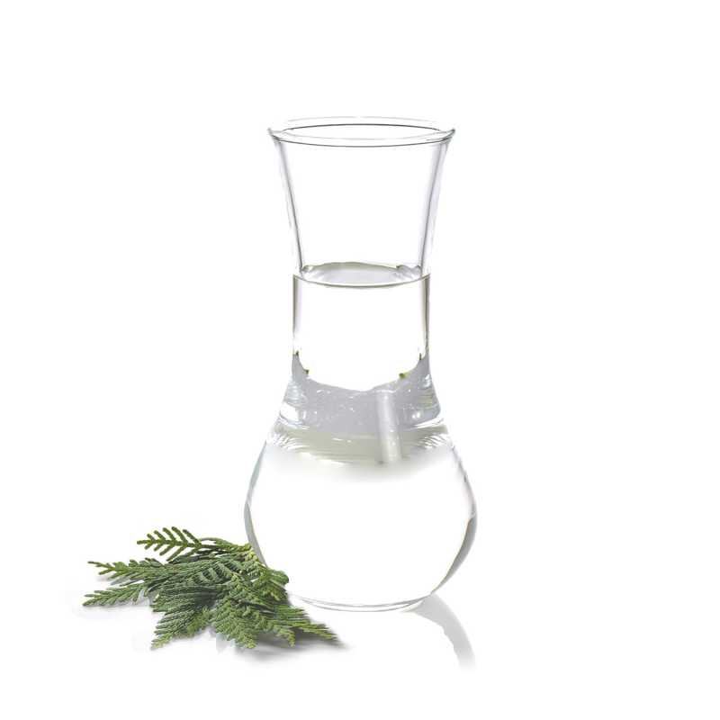 Thuja Leaf (Cedarleaf) Huile Essentielle, 1 l