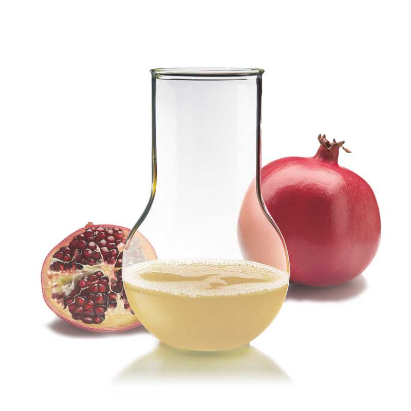 Extrait de grenade CO2-to Bio, 50 ml