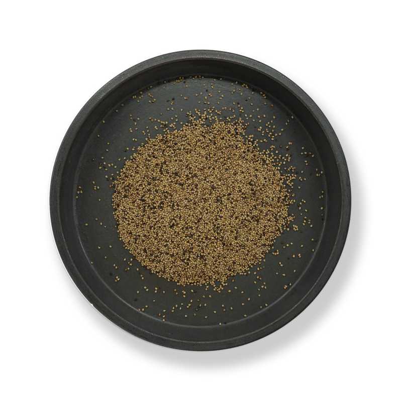 Graines de fraises, 200 g