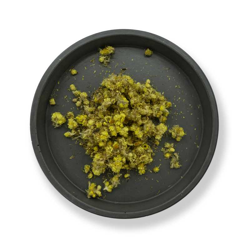 Sandy Everlasting, fleur séchée, 50 g